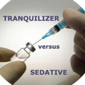 Tranquilizer Versus Sedative