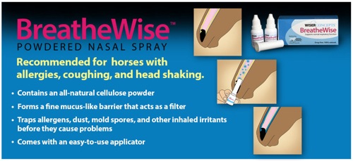 BreatheWise