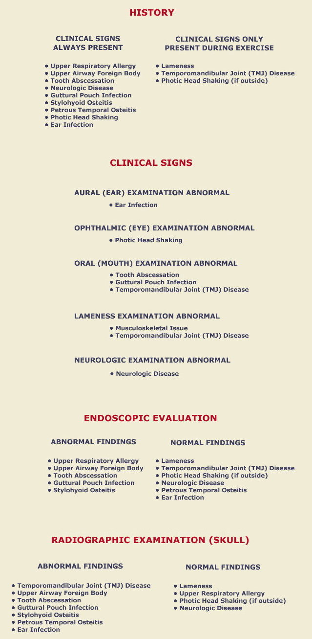 Head Shaking Ruleouts