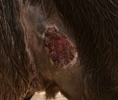 Post-Op Photo B