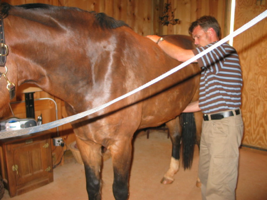 Reproductive Examination