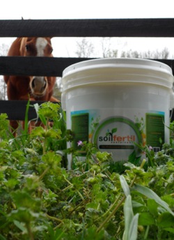 The Grass is Greener...