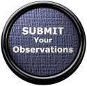 Submit Your Answers