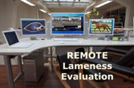 Telemedical Lameness Evaluation
