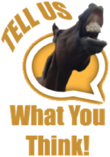 We Want Feedback!